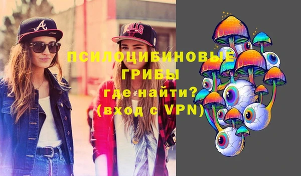 ALPHA PVP Алексин