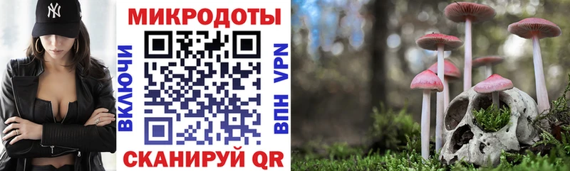 Галлюциногенные грибы MAGIC MUSHROOMS  наркота  Красноуфимск 