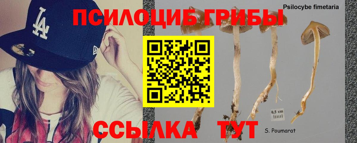 Красноуфимск  Галлюциногенные грибы прущие грибы  Вход с VPN 