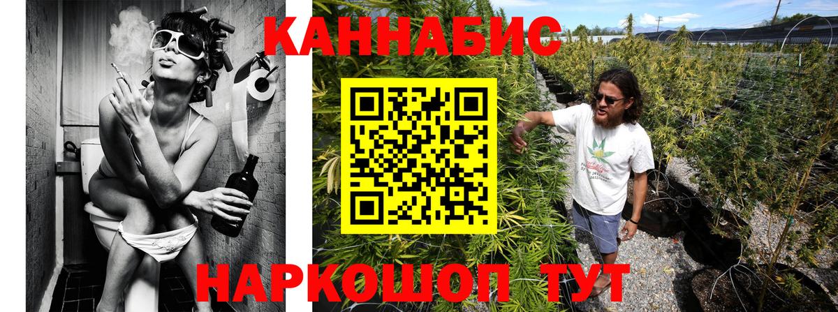 Бошки Шишки гибрид Красноуфимск